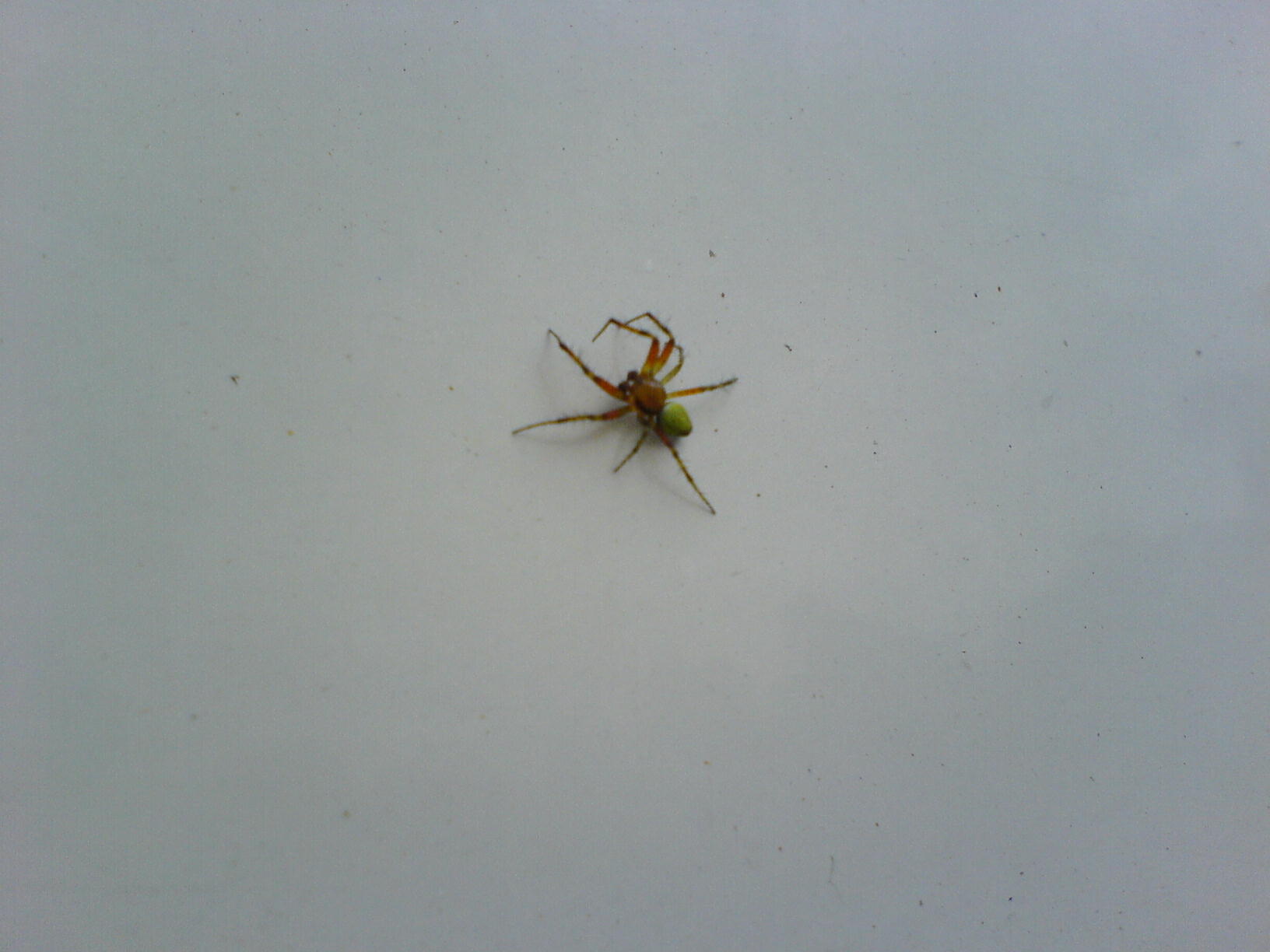 DSC00250.JPG