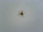 DSC00250.JPG